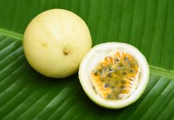 Óleo de maracujá - o estilista capilar rico em vitaminas