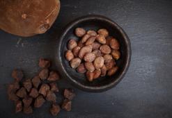 Manteiga de cupuaçu da Amazónia - equilíbrio de ácidos gordos para uma hidratação perfeita