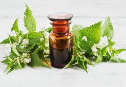 Tratamentos do couro cabeludo para cabelo comprido e saudável - os melhores cosméticos caseiros